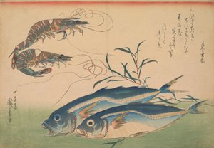 Lómakréla (Aji) garnélarákkal vagy garnélarákkal, felirattal alkotó: Utagawa Hiroshige